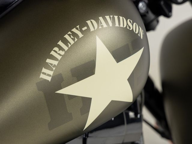 harley-davidson - softail-slim-s-flss