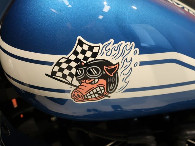 harley-davidson - low-rider-st-fxlrst