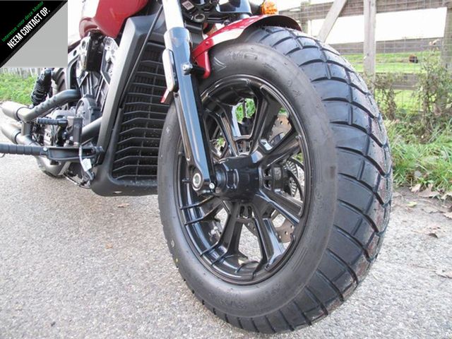 indian - scout-bobber
