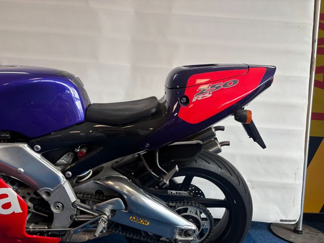 aprilia - rs-250