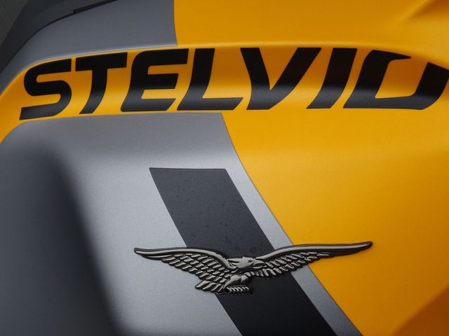 moto-guzzi - stelvio-pff