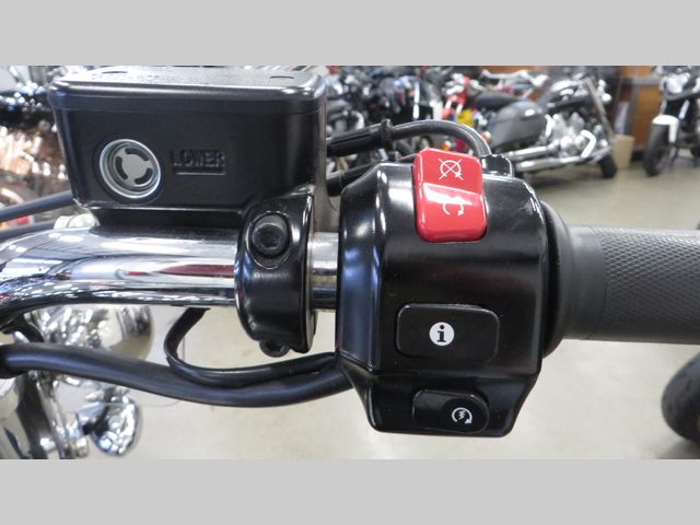 triumph - thunderbird