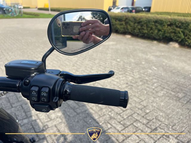 harley-davidson - fat-boy-114-flfbs-softail