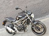 SUZUKI SV 650