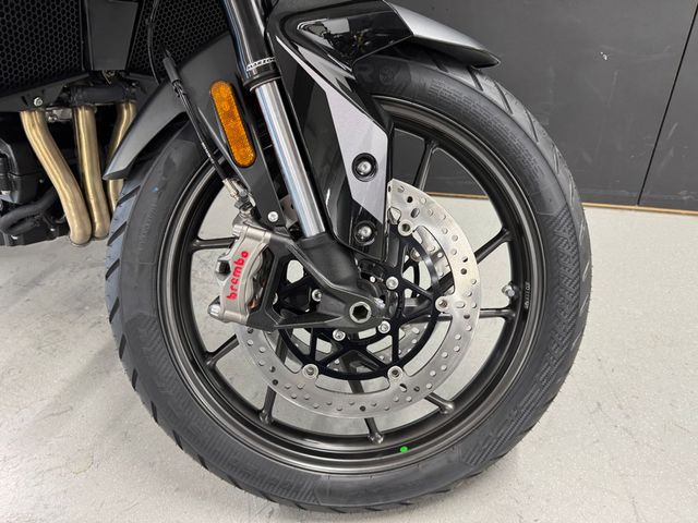 triumph - tiger-900-gt-pro