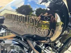 Harley-Davidson Street Glide St Streetglide 117 2022 occasion – foto 9 van 20