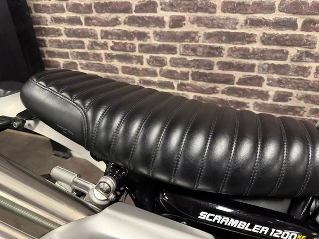 triumph - scrambler-1200-xe