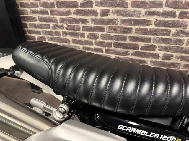 triumph - scrambler-1200-xe