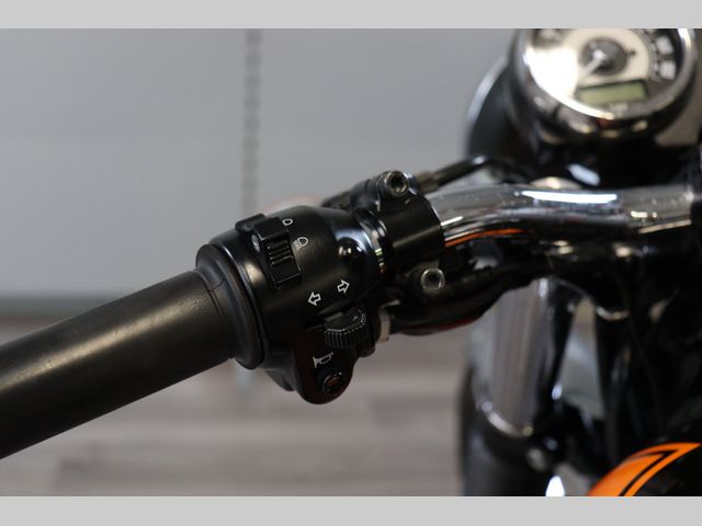 kawasaki - w800-final-edition