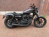 HARLEY-DAVIDSON SPORTSTER IRON XL 883 N
