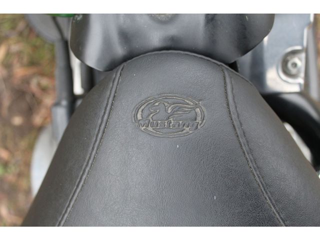 harley-davidson - softail-slim-fls