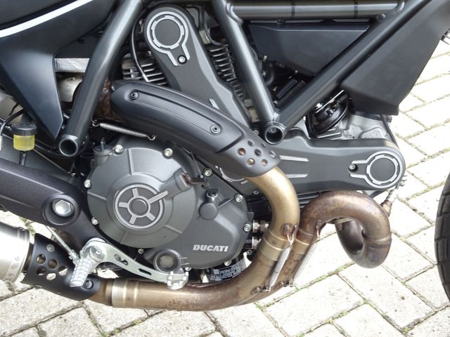 ducati - scrambler-icon