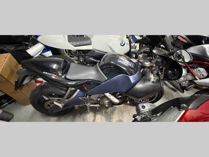 Harley-Davidson 1125 R 2008 occasion