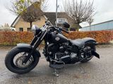 HARLEY-DAVIDSON SOFTAIL SLIM FLS