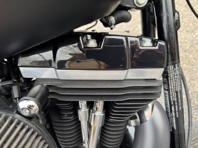 harley-davidson - softail-slim-fls