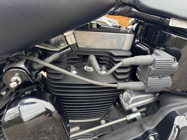 harley-davidson - softail-slim-fls