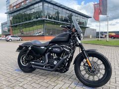 HARLEY-DAVIDSON SPORTSTER IRON XL 883 N