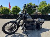 HARLEY-DAVIDSON FAT BOY SPECIAL FLSTFB