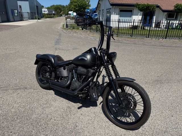 harley-davidson - fat-boy-special-flstfb