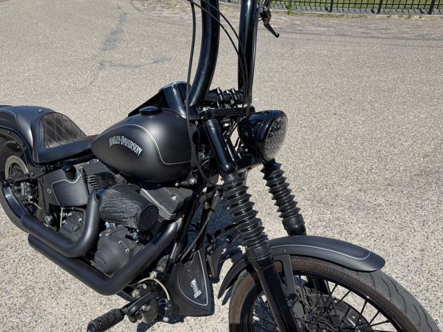 harley-davidson - fat-boy-special-flstfb