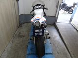 YAMAHA XSR 900 ABS