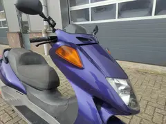 Honda FES 250 Foresight 1997 occasion – foto 3 van 10