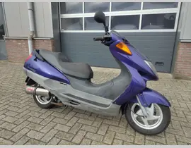 Honda FES 250 Foresight 1997 occasion