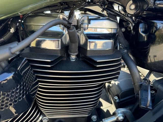 harley-davidson - fat-boy-special-flstfb
