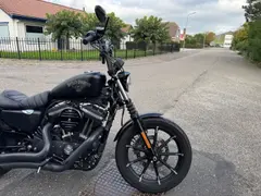 Harley-Davidson Iron 883 Sportster (5hd) 2016 occasion – foto 6 van 20