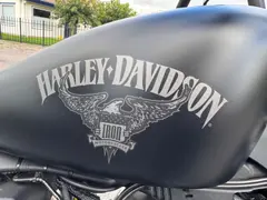 Harley-Davidson Iron 883 Sportster (5hd) 2016 occasion – foto 8 van 20