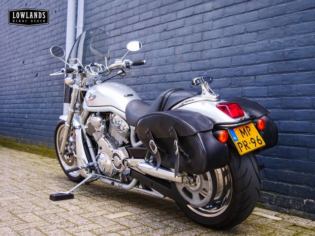 harley-davidson - v-rod-10th-anniversary-vrsc