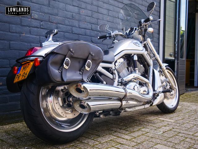 harley-davidson - v-rod-10th-anniversary-vrsc