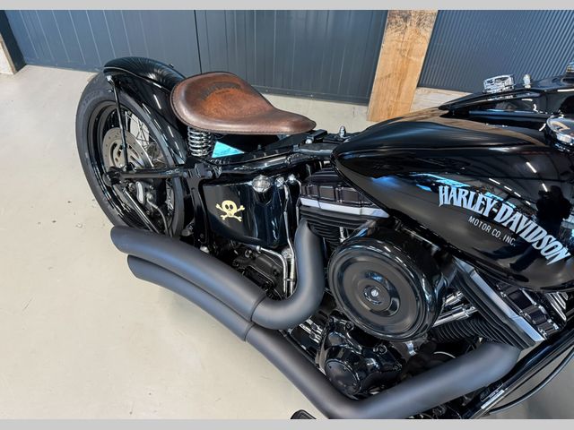 harley-davidson - cross-bones-flstsb