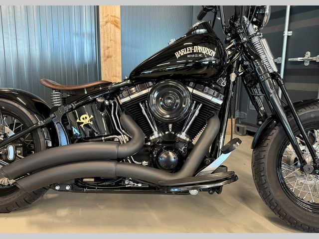 harley-davidson - cross-bones-flstsb