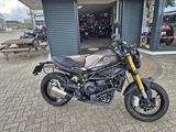 BENELLI LEONCINO 800