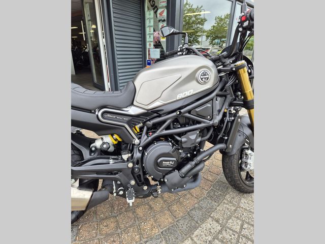 benelli - leoncino-800