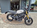 BENELLI LEONCINO 800