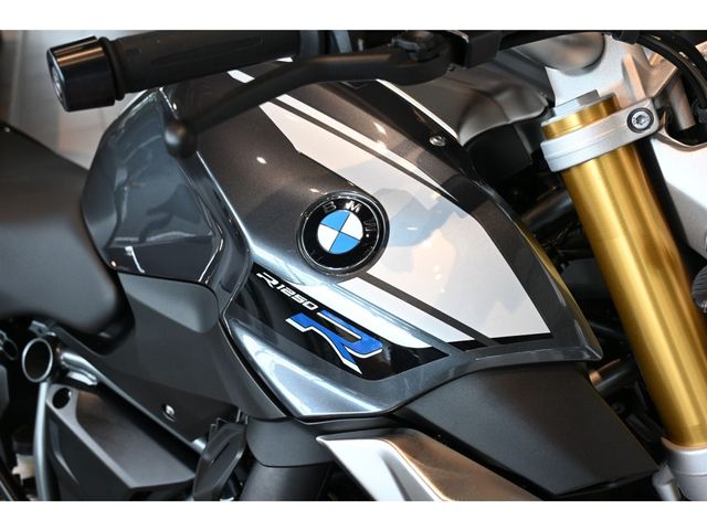bmw - r-1250-r