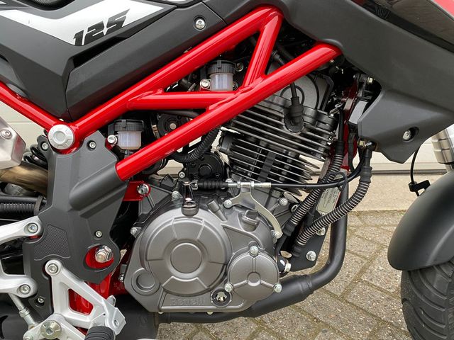 benelli - tornado-naked-t