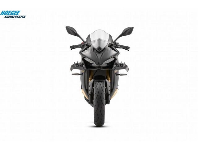 QJMOTOR - srk-800-rr