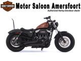 HARLEY-DAVIDSON SPORTSTER FORTY-EIGHT XL 1200 X
