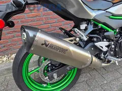 Kawasaki Z 500 2025 occasion – foto 12 van 13