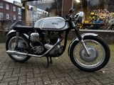 NORTON DOMINATOR