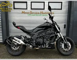 Benelli 502 C 2026 nieuw