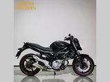 SUZUKI SFV 650 GLADIUS
