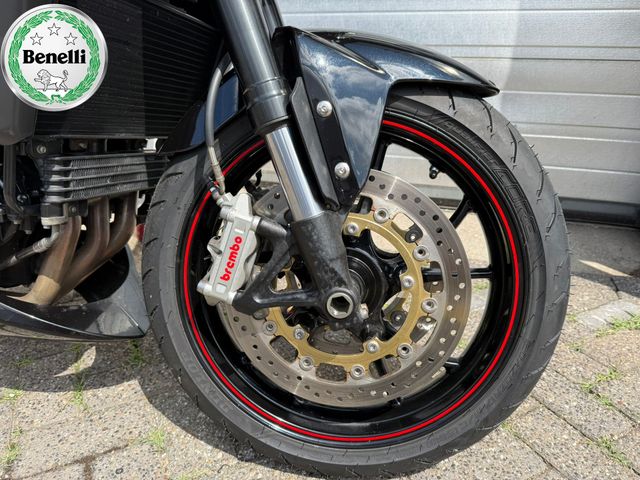 triumph - speed-triple