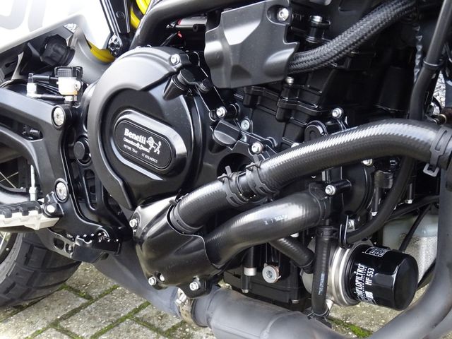 benelli - leoncino-800-trail