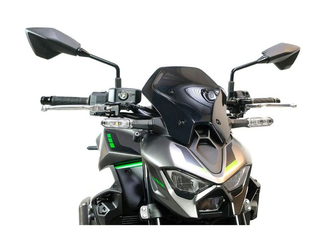 kawasaki - z900-performance