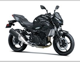 Kawasaki Z 500 2026 nieuw