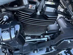 Harley-Davidson Street Glide Streetglide Flhxs 2021 occasion – foto 18 van 20